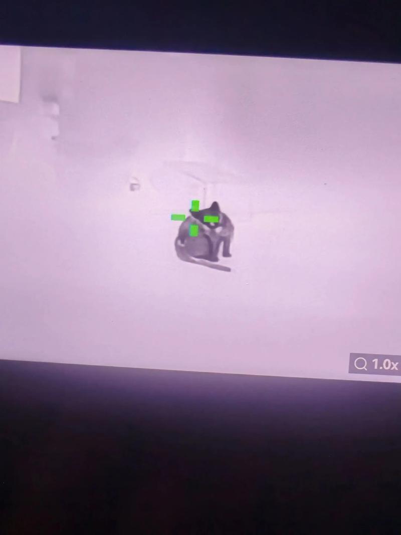 五彩斑斓就是土？那是你不懂【和平卡网地狱犬】